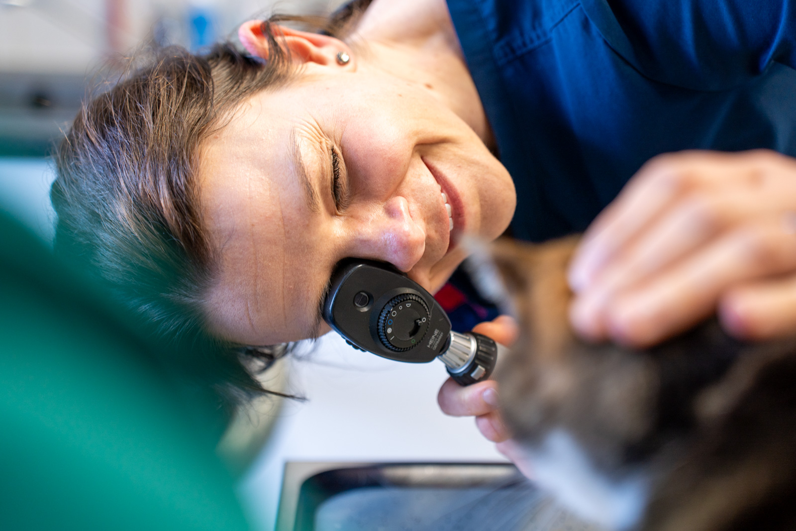 Southfields Veterinary Surgery (Web) 027