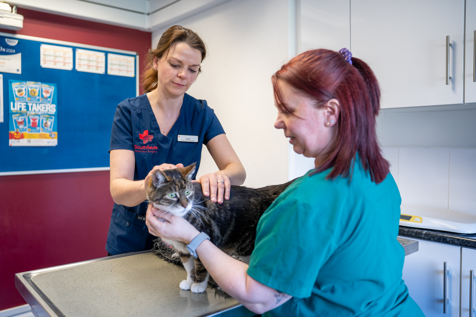 Southfields Veterinary Surgery (Web) 030
