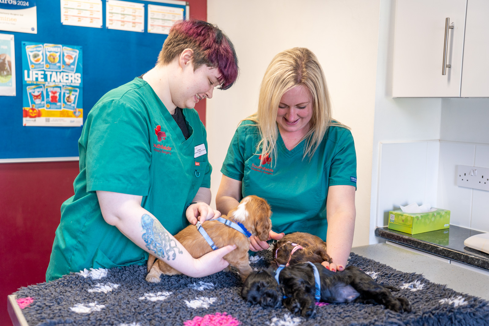 Southfields Veterinary Surgery (Web) 031